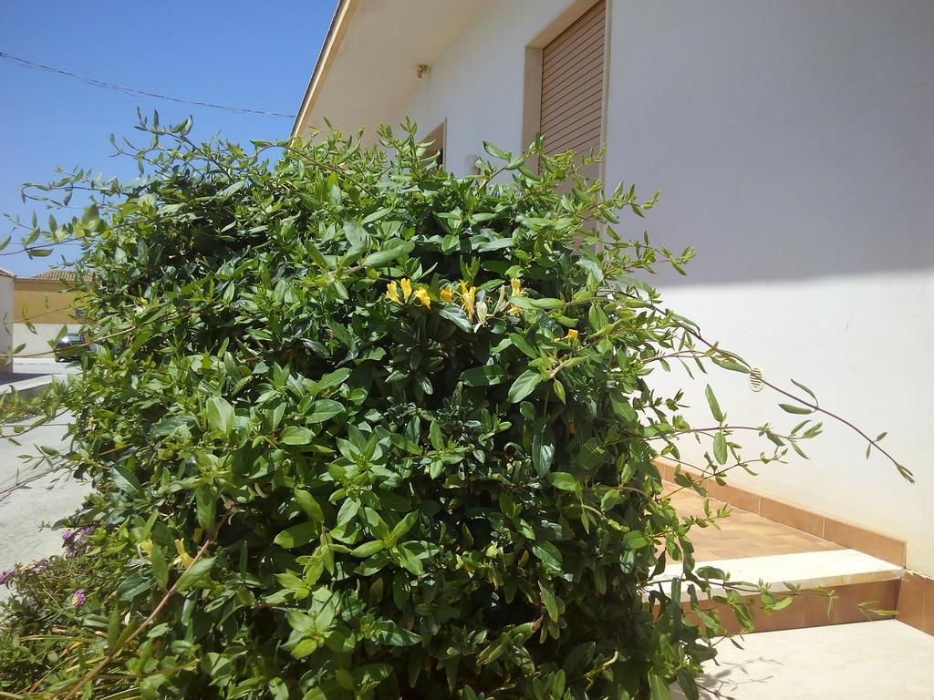 Casa Bianca da Giusy Birgi Vecchi Exterior foto